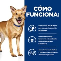 Hill's I/d Prescription Diet Digestive Care Estofado Para Perros -Ofertas Mascotas Tienda pd id dog bk33557 how works es 1