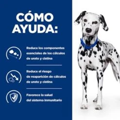 Hill's U/d Prescription Diet Comida Húmeda Para Perros -Ofertas Mascotas Tienda pd ud dog bk24705m bk31642 how helps es 0