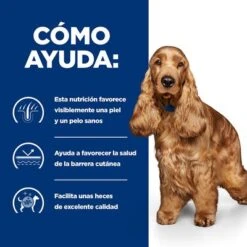 Hill's Z/d Food Sensitivities Prescription Diet Comida Húmeda -Ofertas Mascotas Tienda pd zd dog bk30873m bk30972 how helps es 4