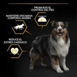 Purina Pro Plan All Sizes Adult Light Sterilised Pollo 15 Purina Pro Plan All Sizes Adult Light Sterilised Pollo -Ofertas Mascotas Tienda pu benefit tile m2 light sterilised 2500x2500px 221229 1 2