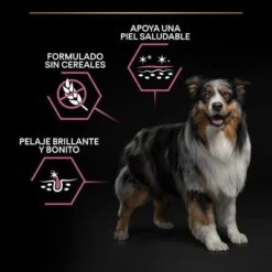 PURINA PRO PLAN Medium Adult Sensitive Skin 15 PURINA PRO PLAN Medium Adult Sensitive Skin -Ofertas Mascotas Tienda pu benefit tile m2 sensitive skin 6 2500x2500px 221229 1 4
