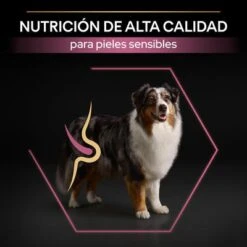 PURINA PRO PLAN Medium & Large Adult 7+ Sensitive Skin -Ofertas Mascotas Tienda pu proplan dog senstvskin productdesc 3