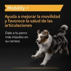 PRO PLAN Dog Adult Mobility Supplement En Polvo -Ofertas Mascotas Tienda pu supplementals atf mobility a 220513 es es 6