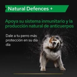 PRO PLAN Dog Adult Natural Defences Supplement Comprimidos -Ofertas Mascotas Tienda pu supplementals atf natural defences dog a 220513 es es 3