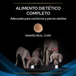 Purina DRM Dermatosis Veterinary Diets Pienso Para Perros -Ofertas Mascotas Tienda puppvdddppvdr22ksizles 220629 1 1656985195811 5