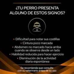 Purina OM Obesity Management Veterinary Diets Pienso Perros -Ofertas Mascotas Tienda puppvdddppvom22dles 220629 1 1657171060665 3