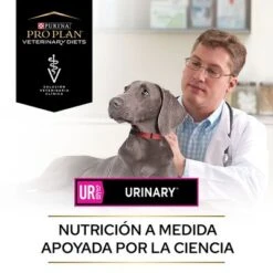 Purina UR Urinary Veterinary Diets Pienso Para Perros -Ofertas Mascotas Tienda puppvdddppvur22endoles 220629 1 1656654162025 0