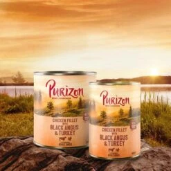 Purizon Adult 6 X 800 G Comida Húmeda Sin Cereales Para Perros -Ofertas Mascotas Tienda purizon idcard wet blackangus 1000x1000 6 1