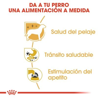 Royal Canin Breed Chihuahua Mousse 4 Royal Canin Breed Chihuahua Mousse - Imagen 4