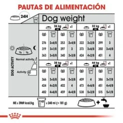 Royal Canin Maxi Dermacomfort 10 Royal Canin Maxi Dermacomfort -Ofertas Mascotas Tienda rc ccn dermamax cv eretailkit 7 es es 0