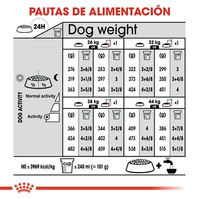 Royal Canin Maxi Dermacomfort 4 Royal Canin Maxi Dermacomfort - Imagen 4
