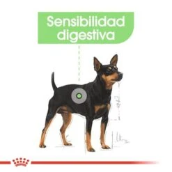 Royal Canin Mini Digestive Care -Ofertas Mascotas Tienda rc ccn digestivemini cv eretailkit 2 es es 8