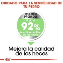 Royal Canin Mini Digestive Care -Ofertas Mascotas Tienda rc ccn digestivemini cv eretailkit 3 es es 1