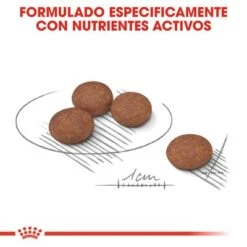 Royal Canin Mini Digestive Care -Ofertas Mascotas Tienda rc ccn digestivemini cv eretailkit 5 es es 7