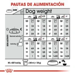 Royal Canin Mini Digestive Care -Ofertas Mascotas Tienda rc ccn digestivemini cv eretailkit 7 es es 6