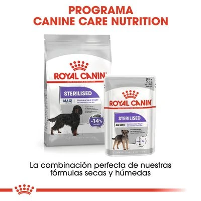 Royal Canin Maxi Adult Sterilised 7 Royal Canin Maxi Adult Sterilised - Imagen 7