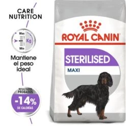 Royal Canin Maxi Adult Sterilised