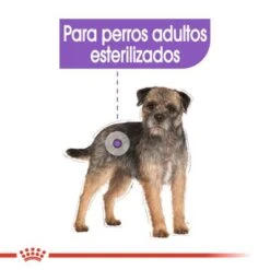 Royal Canin Mini Adult Sterilised -Ofertas Mascotas Tienda rc ccn sterilisedmini cv eretailkit 2 es es 5