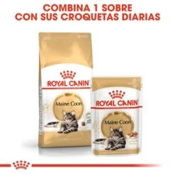 Royal Canin Breed Maine Coon -Ofertas Mascotas Tienda rc fbn wet mainecoon cv eretailkit 4 es es 1