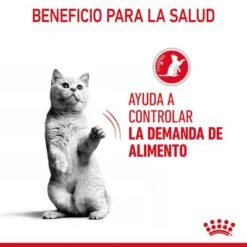 Royal Canin Appetite Control Care En Gelatina -Ofertas Mascotas Tienda rc fcn appetitecontrolpouchjelly 6 es es 5