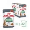Royal Canin Digest Care En Salsa