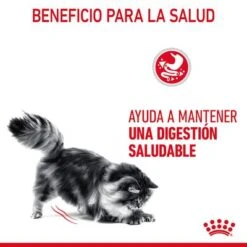 Royal Canin Digest Care En Salsa -Ofertas Mascotas Tienda rc fcn digestivecarepouchgravy 6 es es 2
