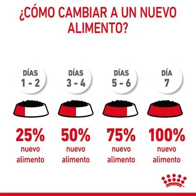 Royal Canin Hair & Skin Care En Salsa 9 Royal Canin Hair & Skin Care En Salsa - Imagen 9