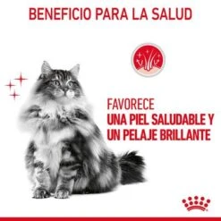 Royal Canin Hair & Skin Care En Salsa 12 Royal Canin Hair & Skin Care En Salsa -Ofertas Mascotas Tienda rc fcn hairskinpouchgravy 6 es es 4