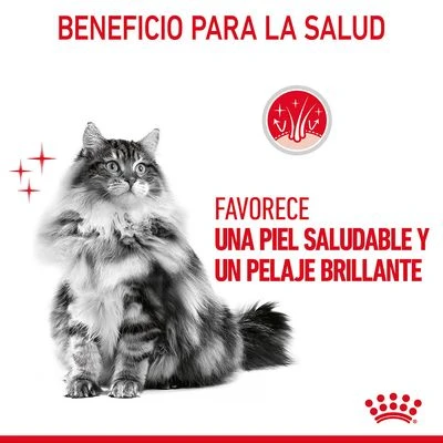 Royal Canin Hair & Skin Care En Salsa 3 Royal Canin Hair & Skin Care En Salsa - Imagen 3