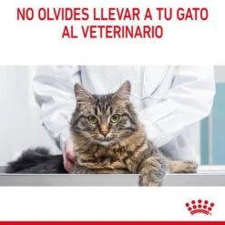 Royal Canin Light Weight Care En Gelatina 19 Royal Canin Light Weight Care En Gelatina -Ofertas Mascotas Tienda rc fcn lightweightpouchjelly 13 es es 7