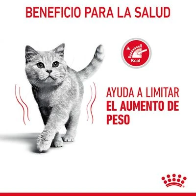 Royal Canin Light Weight Care En Gelatina 3 Royal Canin Light Weight Care En Gelatina - Imagen 3
