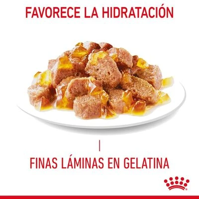 Royal Canin Light Weight Care En Gelatina 4 Royal Canin Light Weight Care En Gelatina - Imagen 4