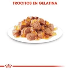 Royal Canin Ageing +12 En Gelatina -Ofertas Mascotas Tienda rc fhn wet ageing12jelly cv eretailkit 3 es es 3