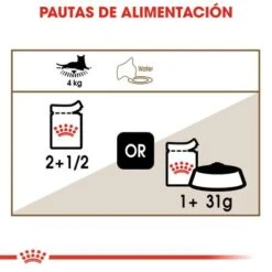 Royal Canin Ageing +12 En Gelatina -Ofertas Mascotas Tienda rc fhn wet ageing12jelly cv eretailkit 4 es es 3