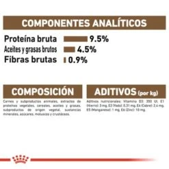 Royal Canin Ageing +12 En Gelatina -Ofertas Mascotas Tienda rc fhn wet ageing12jelly cv eretailkit 7 es es 6