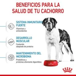 Royal Canin Giant Junior -Ofertas Mascotas Tienda rc spt dry giantjunior cv 3 es es 1