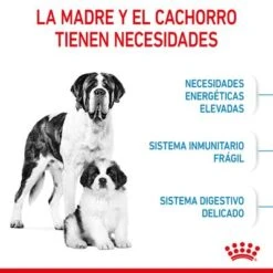 Royal Canin Giant Starter -Ofertas Mascotas Tienda rc spt dry giantstart cv 2 es es 3