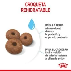 Royal Canin Giant Starter -Ofertas Mascotas Tienda rc spt dry giantstart cv 4 es es 9