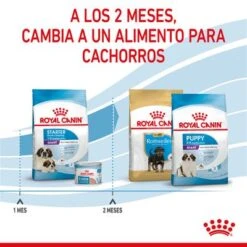 Royal Canin Giant Starter -Ofertas Mascotas Tienda rc spt dry giantstart cv 5 es es 2