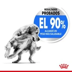 Royal Canin Maxi Light Weight Care -Ofertas Mascotas Tienda rc spt dry lightweightmaxi cv 2 es es 1 2