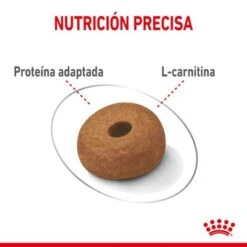 Royal Canin Maxi Light Weight Care -Ofertas Mascotas Tienda rc spt dry lightweightmaxi cv 3 es es 1 2