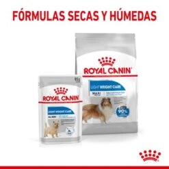 Royal Canin Maxi Light Weight Care -Ofertas Mascotas Tienda rc spt dry lightweightmaxi cv 4 es es 1 1