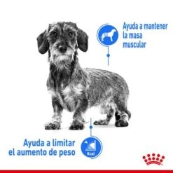 Royal Canin Mini Light Weight Care -Ofertas Mascotas Tienda rc spt dry lightweightmini cv 1 es es 1 6