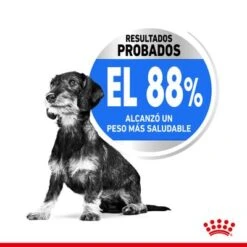 Royal Canin Mini Light Weight Care -Ofertas Mascotas Tienda rc spt dry lightweightmini cv 2 es es 1 4