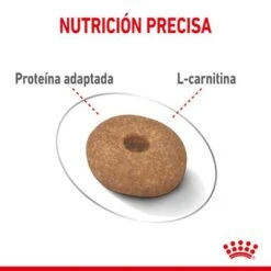 Royal Canin Mini Light Weight Care -Ofertas Mascotas Tienda rc spt dry lightweightmini cv 3 es es 1 2