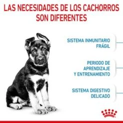 Royal Canin Maxi Puppy -Ofertas Mascotas Tienda rc spt dry maxipuppy cv 2 es es 5