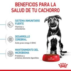 Royal Canin Maxi Puppy -Ofertas Mascotas Tienda rc spt dry maxipuppy cv 3 es es 6