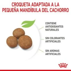 Royal Canin Maxi Puppy -Ofertas Mascotas Tienda rc spt dry maxipuppy cv 4 es es 7