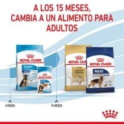 Royal Canin Maxi Puppy -Ofertas Mascotas Tienda rc spt dry maxipuppy cv 5 es es 2