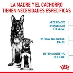Royal Canin Maxi Starter -Ofertas Mascotas Tienda rc spt dry maxistart cv 2 es es 4